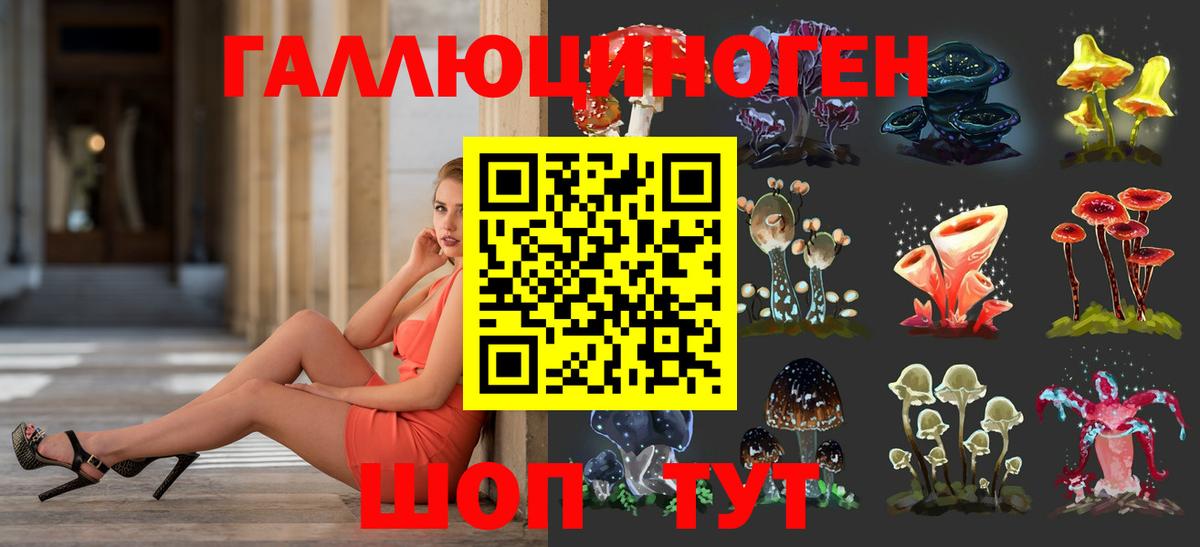 Бердск  Галлюциногенные грибы GOLDEN TEACHER  цены наркотик  Вход с VPN 
